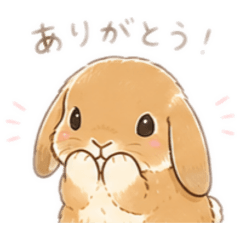 meguchai_20260510011222
