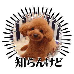 san_20260510011944