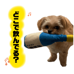 shimo_20260510011037