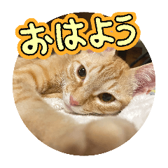 YUMI F_20260510112559