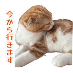 Syugosurutokinitukaemasu