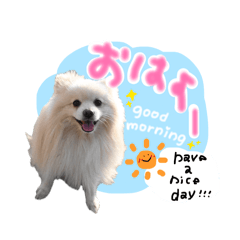 ohayou_20260510112923