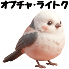 kawaiishimaenaganano