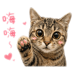 李小花公主