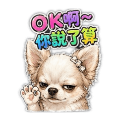 吉娃娃吐槽用語2