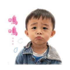 堆堆的日常