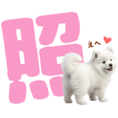 Fluffy Dog.2 Samoyed