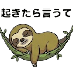Maple_20260509212906