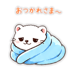 LAULA_20260510004659