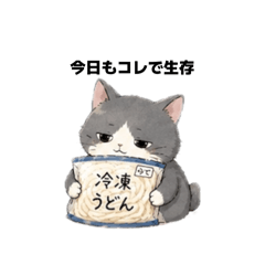 miyuneko_20260510102507