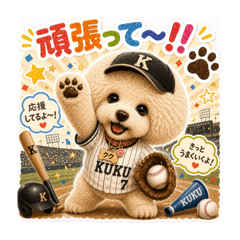 yuji_20260510011628