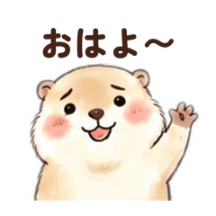 chibo_20260510010750