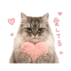 lovely_20260510102343