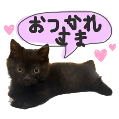 kumiko_20260510120632