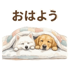 milky_20260510121114