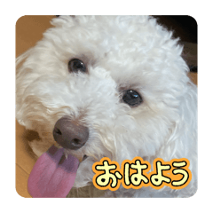 TOM_20260510120901