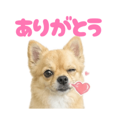 Kaede_20260510013518