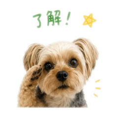kinako  stamps original by me