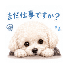 kirako_20260510013421