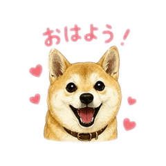 ANZU_20260510015451