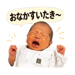 k_20260510015220