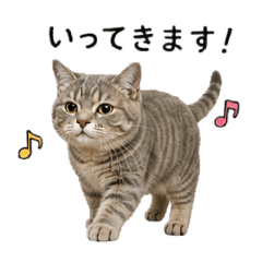 Reo_20260510020028