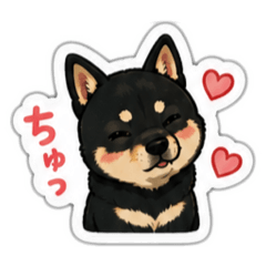 moki_20260510120621