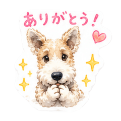 cocomaruru_20260510123453