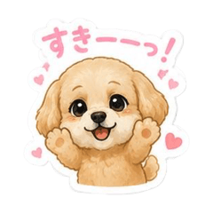 Shinapipi_20260510124800