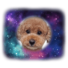 Luuknow_20260510123415