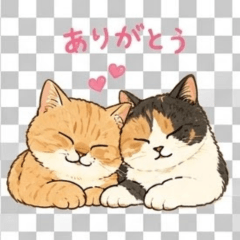 Munchkin Cat Moko and Mugi