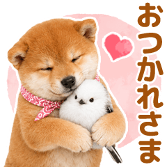 使いやすいシマエナガと柴犬毎日使える敬語