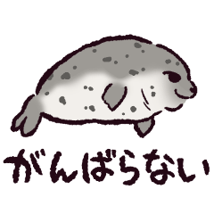 アザラシです。 2