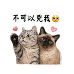 嚕嚕咪相親相愛