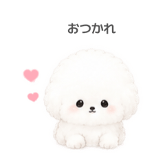 mimin_20260510013539