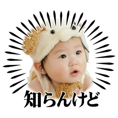 konomisan_20260511180903