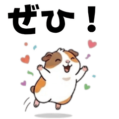 Quirky guinea pig stickers