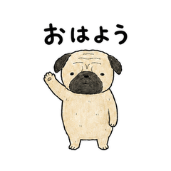 Watercolor Pug Greetings