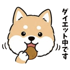 Shiba Inu Stickers1103