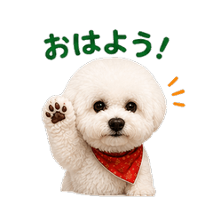 Everyday Fluffy Bichon Stickers