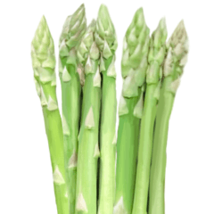 Flesh Asparagus 2