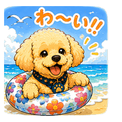Poodle's Summer Vibes