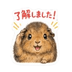 chibisuke0203_20260512155138