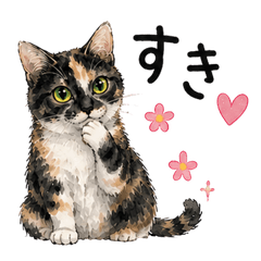 Calico Cat Po's Many Moods