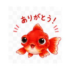 Goldfish akademekin Daily Chat Stickers