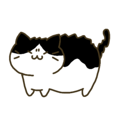 Round Cats Days