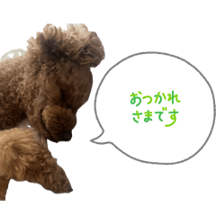 kaiku_20260510132602
