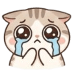 Cute Cat | BIG Stickers