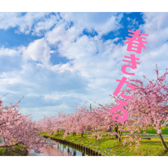 oky_20260428203511
