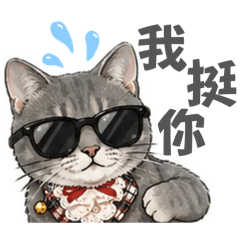 台味襪襪最挺你